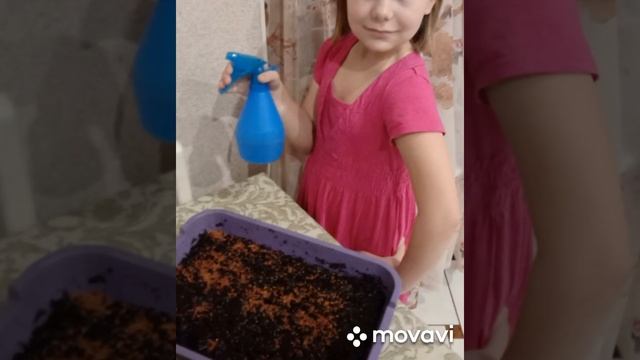 Школьный проект на 5 смотреть онлайн