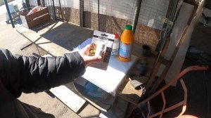 Защита сада от болезней до распускания почек. Советы агронома.