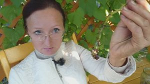 Видео привет перед отъездом с 6 соток 13 сентября 2023 года. Хроника.