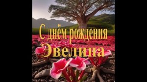 С днём рождения Эвелина
