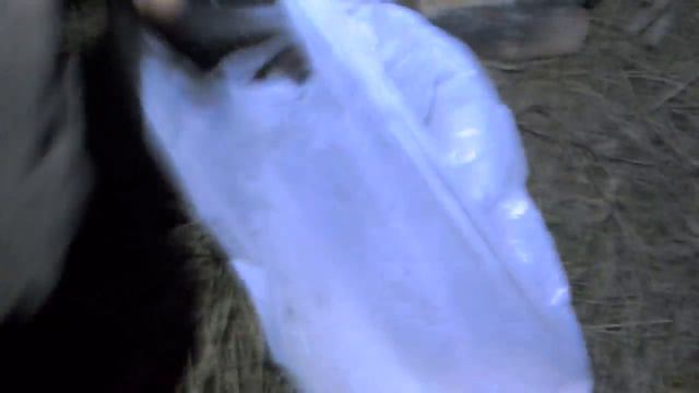 Закрытие открытой воды. Налим смотреть онлайн