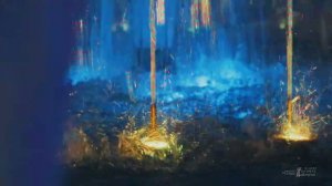 Вечерняя красота под "ДДТ"