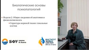 Глиальные клетки