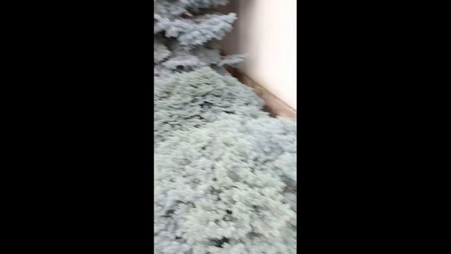 Влог из Дагестана.Экскурсии.Достопримечательности. смотреть онлайн