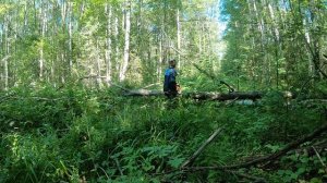 Хорошая поездка за Чагой на 2 дня. Будет 2 части.