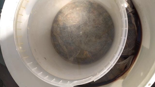 Подготовка овечьей шерсти к прядению. смотреть онлайн