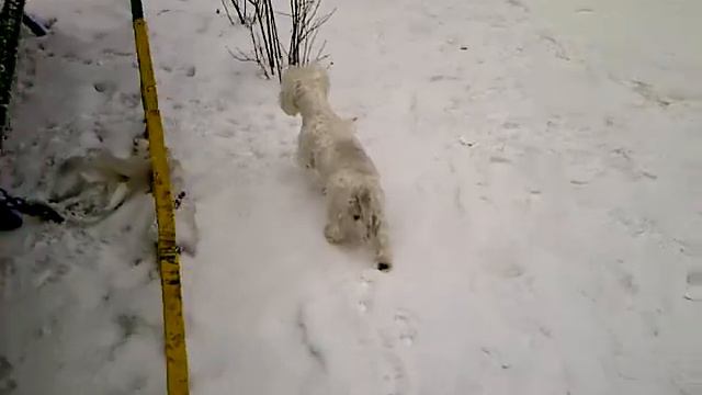 073.3GP смотреть онлайн