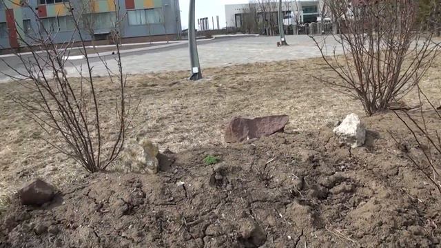 Alnur Akchurin | WSSC 2019 смотреть онлайн