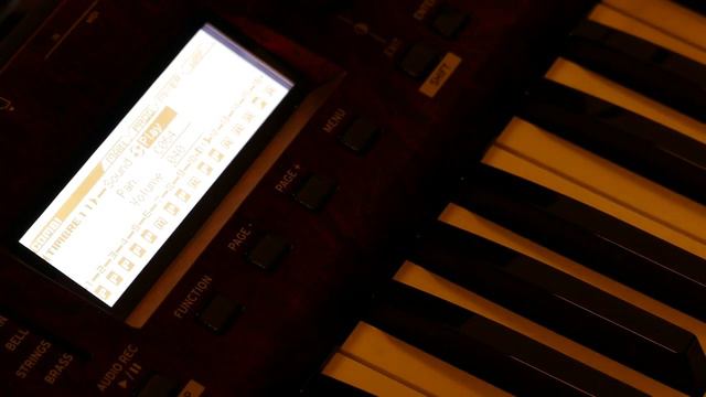 KORG KROSS 2 "KARMA LIGHT" : ALL LIVE (Part 2) 4 Arpeggios, Drums, Sampler смотреть онлайн