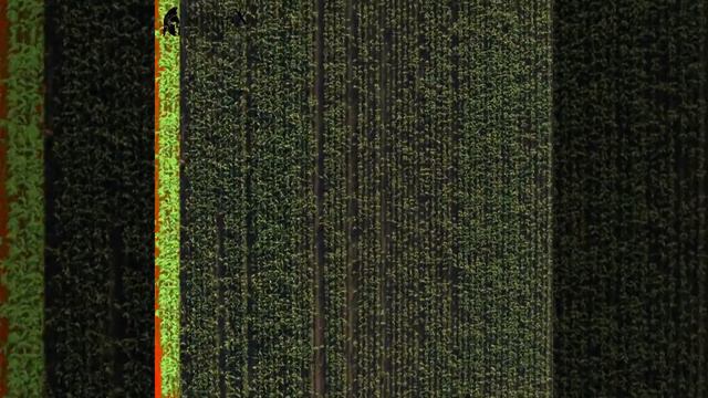 DJI Phantom 4 RTK (Agricultural Drone)
