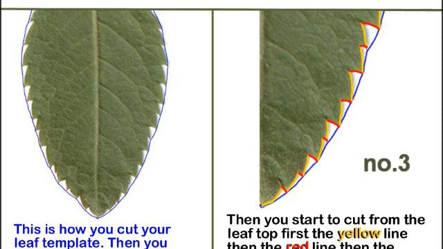 Bridgit's paper leaves (part 1) Basic information's tutorial смотреть онлайн