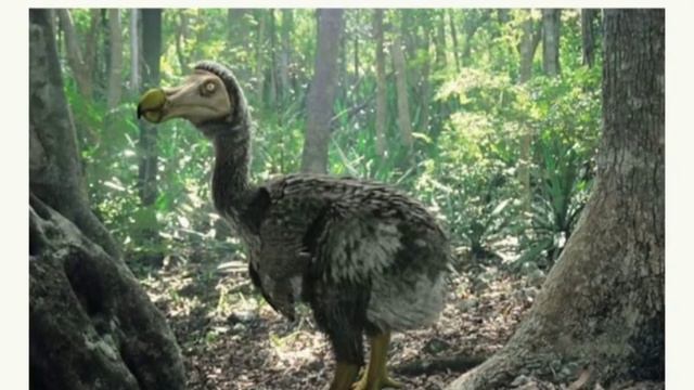 вымершие животные 🥺 смотреть онлайн