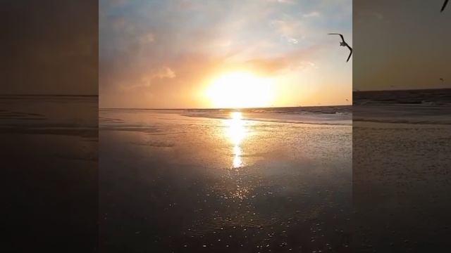 Утренняя молитва Александра Меня. смотреть онлайн