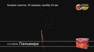 СЛ126036 Пальмира