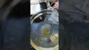 Проверяем мёд! Как быстро проверить настоящий мед или нет