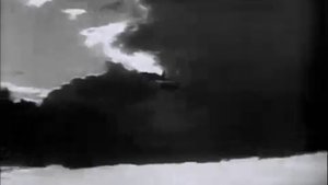 Гражданская оборона - Собаки