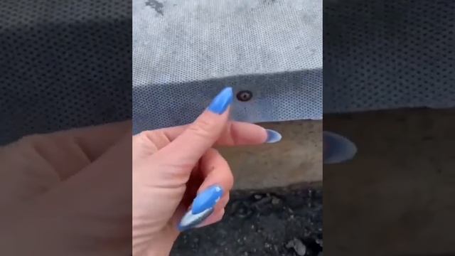 Применение агроткани при посадке земляники