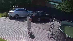 Обезьяна чуть не утащила ребенка