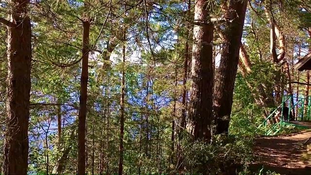 Красивый пейзаж Реки Кубена, Усть-Кубинский район.