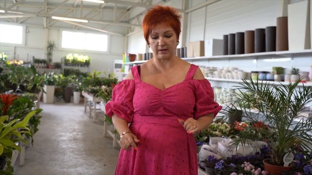 ФИЛАНТРА, ФИНИК РОБЕЛЕНА, АНТУРИУМЫ, ФИНИК КАНАРСКИЙ | УХОД ЗА КОМНАТНЫМИ РАСТЕНИЯМИ