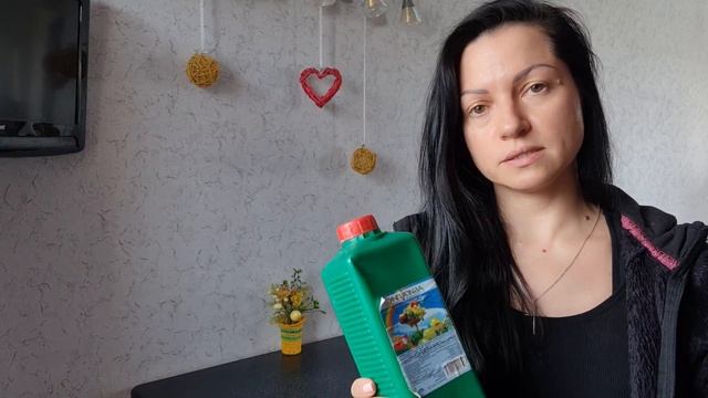 Весенняя обработка ежевики смотреть онлайн