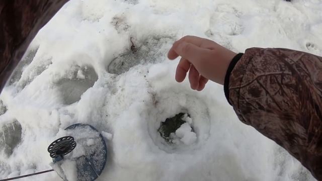 БЕСКОНЕЧНЫЙ КЛЕВ ЩУКИ НА ЖЕРЛИЦЫ!!! Поклевки щуки длились целый день! Зимняя рыбалка, жерлицы 2019 смотреть онлайн