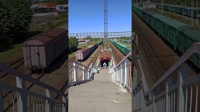 Вид с моста станции Михнево