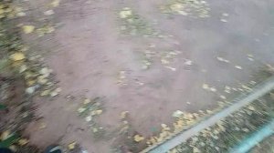 первое видио