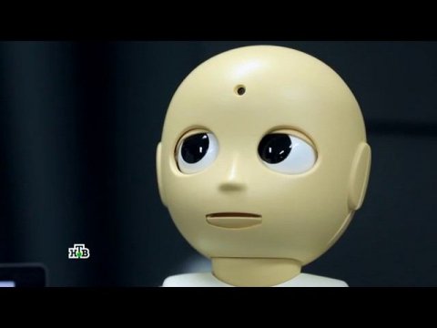 "Чудо техники": "Живые" роботы, эволюция кирпича, пылесос для окон, клей-пластик