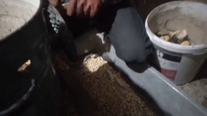 уборка кукурузы после комбайна и ее переработка/ наши планы по кукурузе