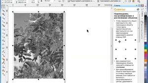 Настройка цвета и тона в  CorelDraw. Часть 2