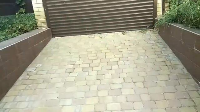 Бедный ёжик из видео про рекуператор пьёт. смотреть онлайн