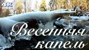 Весенняя капель | Музыка весны | Спокойная музыка для души