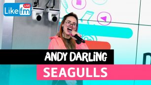 Andy Darling - Seagulls (LIVE @ Like FM)