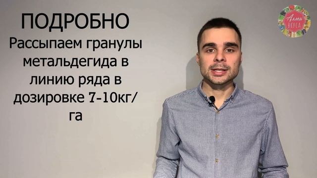 Клубника без слизняка. Технология от Аллея Вкуса смотреть онлайн