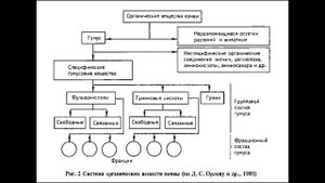Гумус