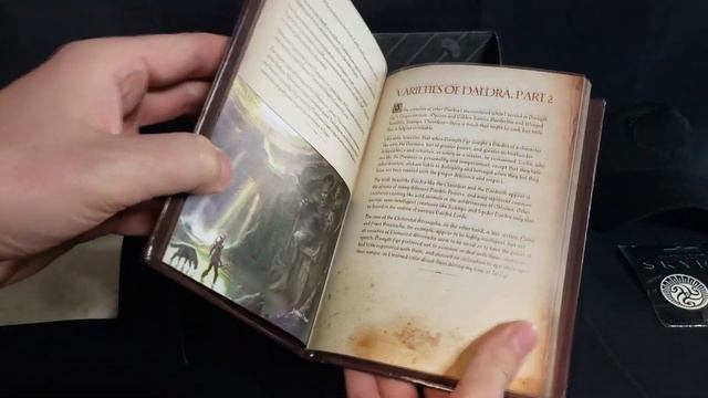 Exclusive Elder Scrolls Loot Crate Unboxing