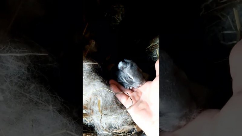 Наши малыши подрастают