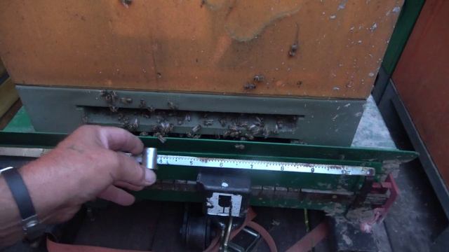 Кочёвка24 и много новинок Часть1 смотреть онлайн