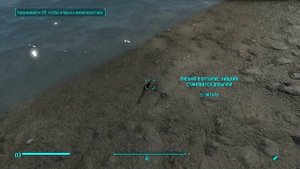 Письмо в бутылке