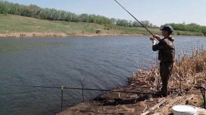Фидер + флэт фидер. Рыбалка в мае. Ловля на платнике.(LiveFishing)