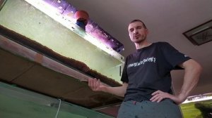 Фильтрация( механическая и биологическая) в аквариуме ФАЛЬШДНО.