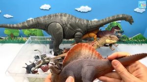 50 Dinosaur Box With Apatosaurus! Giant Dinos 41+ Inch And Tyrannosaurus