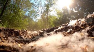 Лайфхак для рыбалки! Как перевозить удочки, чтобы быстро поймать САМУЮ БОЛЬШУЮ РЫБУ?