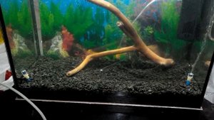 Аквариумный распылитель своими руками