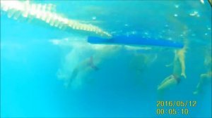 Водное поло под водой 2019,06