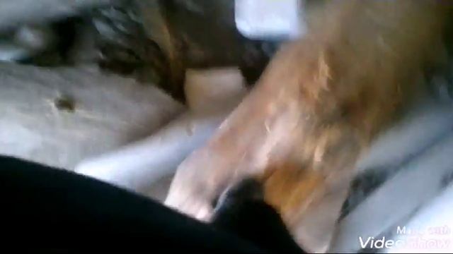 Я в заброшке/ с маленькой девочкой?! Провалилась под лестницу... 1 часть смотреть онлайн