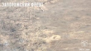 Работа FPV дронов по позициям ВСУ на Ореховском направлении.