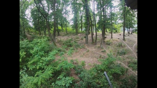 Просто прогулка в зоопарке Братиславы смотреть онлайн