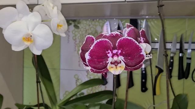 Запорожье. 31. 03. 2023 Ночь и утро под обстрелом .... смотреть онлайн